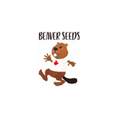 Beaver Seeds