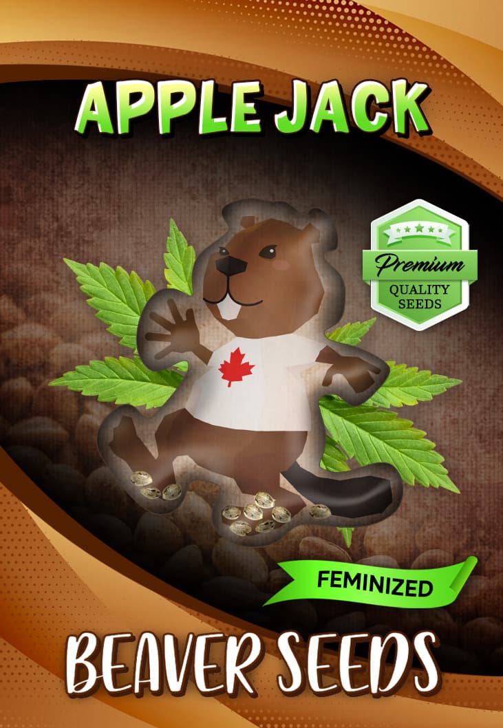 Apple Jack Feminized