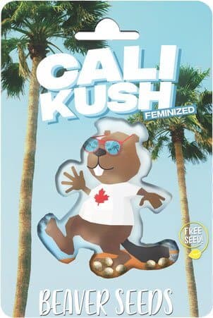 Cali Kush Feminized