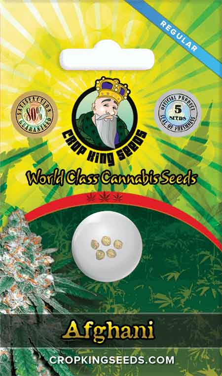 Afghani Regular