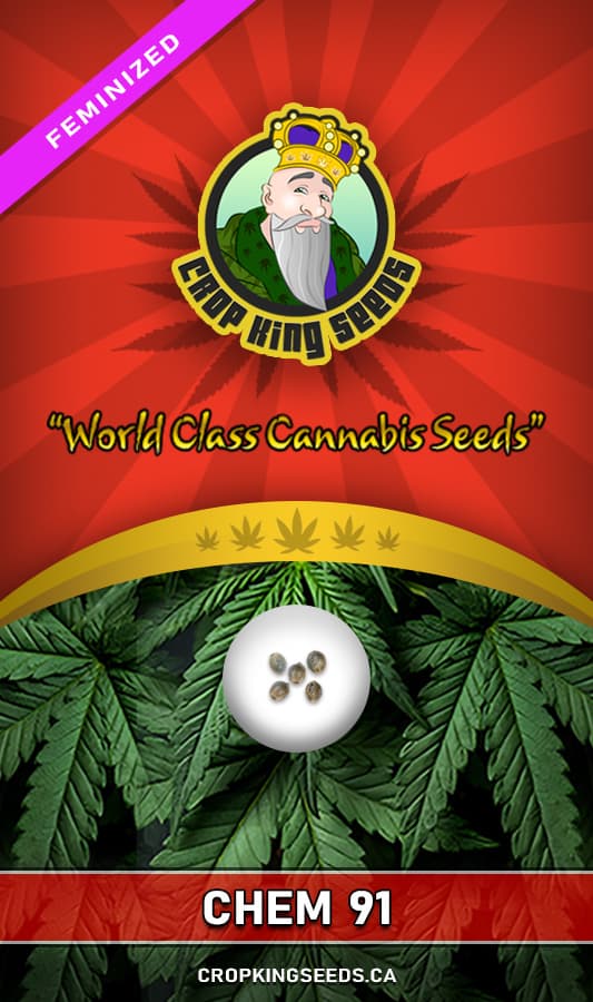 Chem 91 seeds at Crop King Seeds