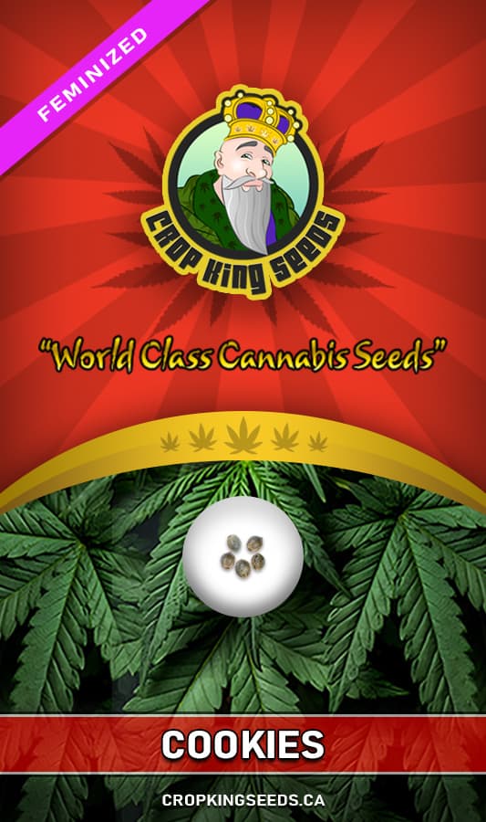 Cookies seeds at Crop King Seeds