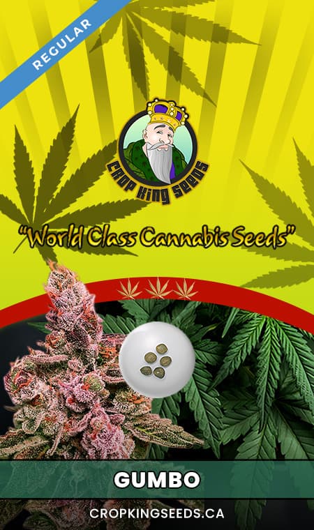 Gumbo seeds at Crop King Seeds