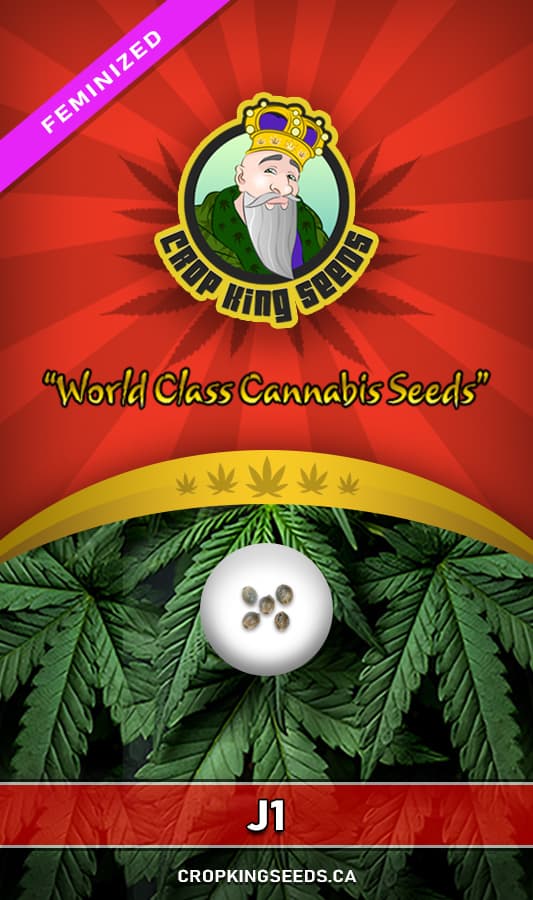 J1 seeds at Crop King Seeds