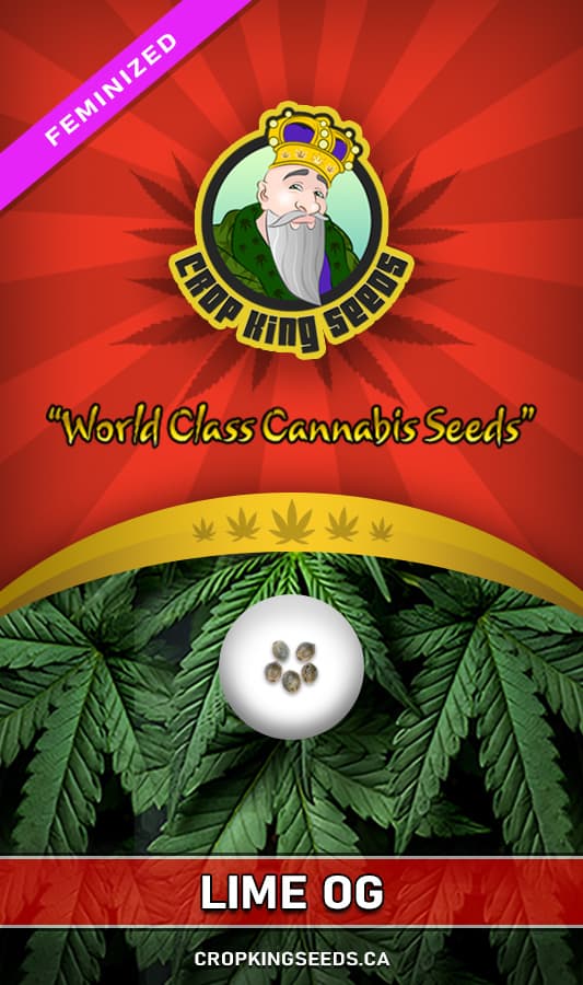 Lime OG seeds at Crop King Seeds