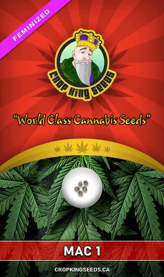 MAC1 seeds at Crop King Seeds