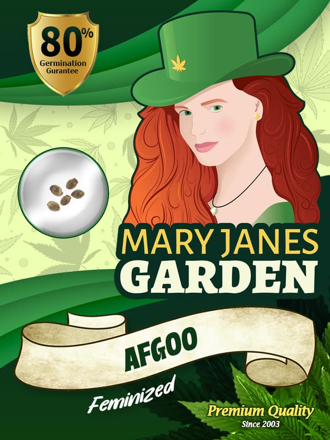 Afgoo seeds at Mary Jane's Garden