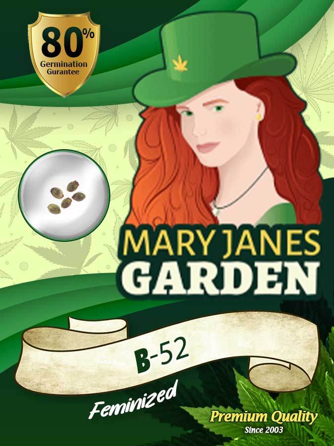 B-52 seeds at Mary Jane's Garden