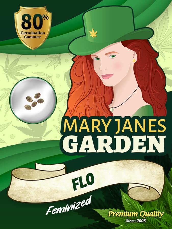 Flo seeds at Mary Jane's Garden