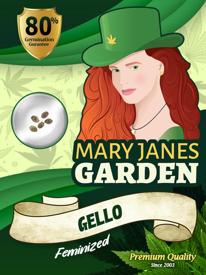 Gello seeds at Mary Jane's Garden
