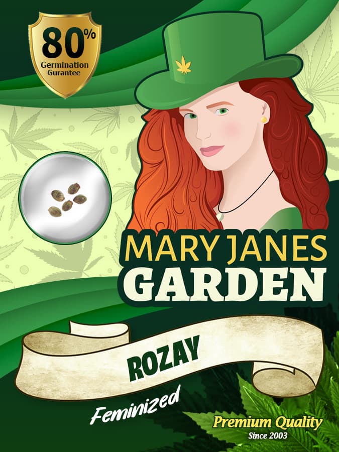 Rozay seeds at Mary Jane's Garden