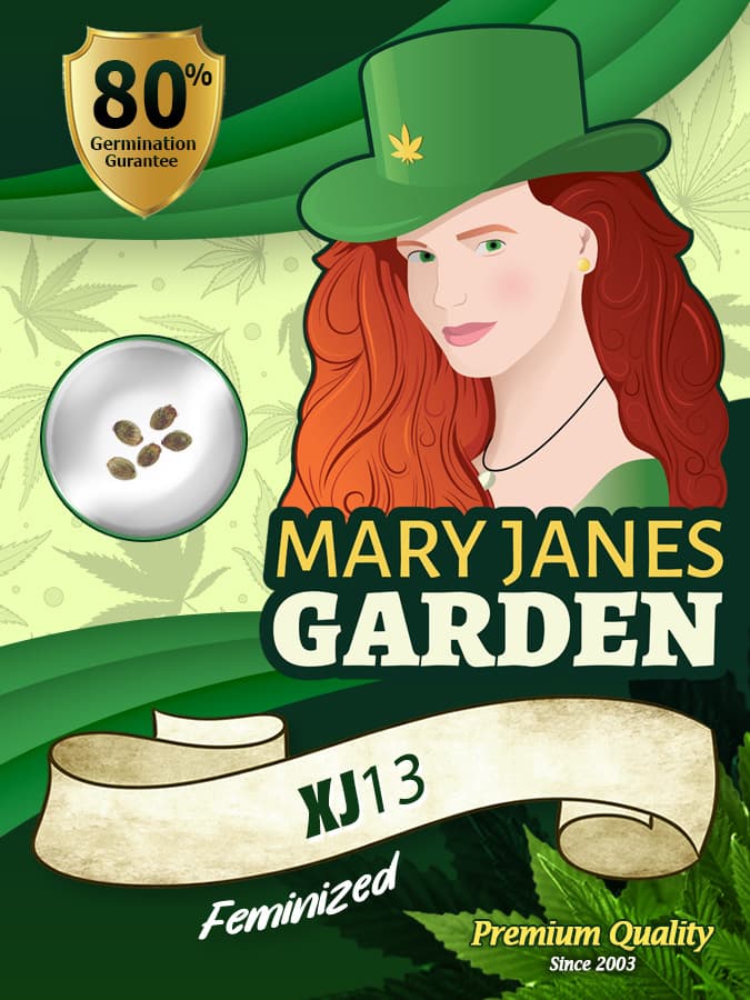 XJ-13 seeds at Mary Jane's Garden