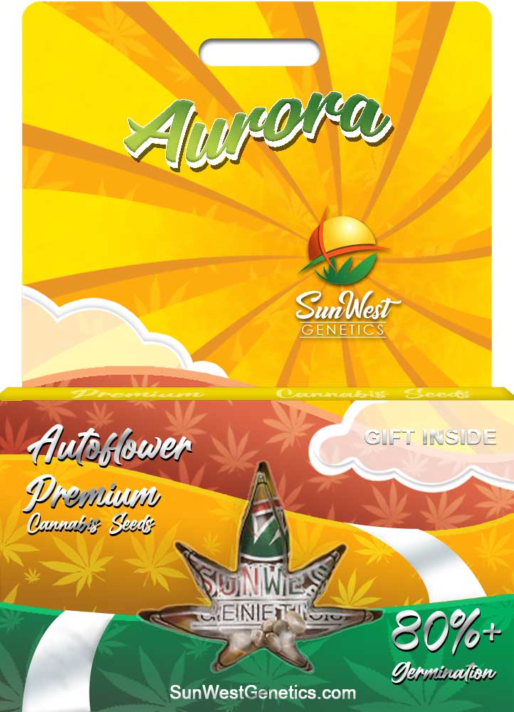 Aurora seeds at Sunwest Genetics