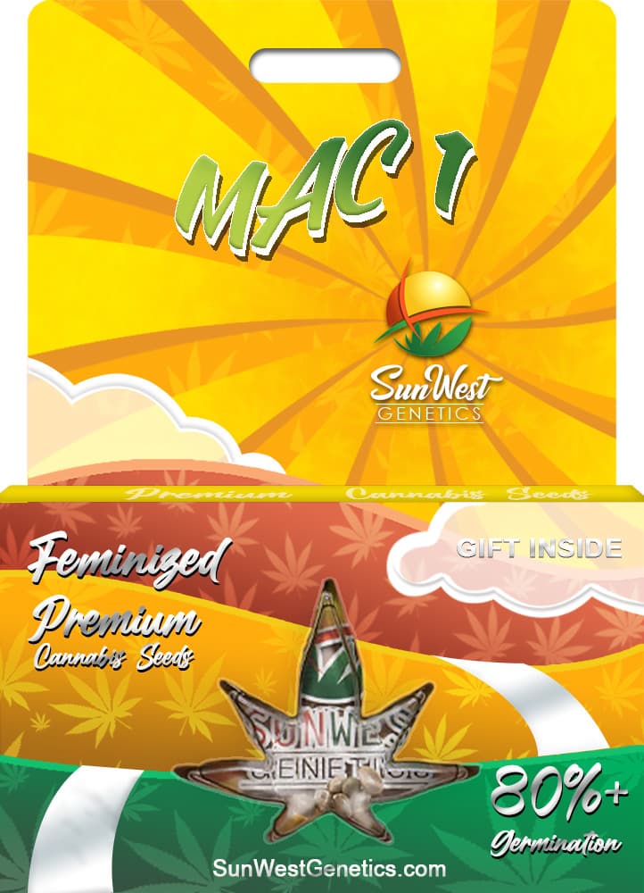 MAC1 Feminized