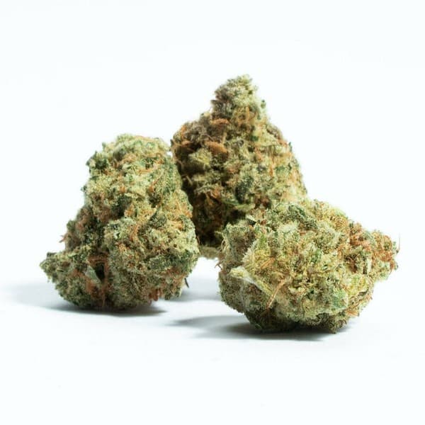 24K Gold cannabis strain, community photo 1
