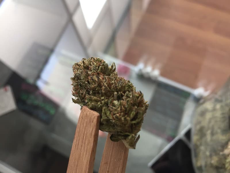 24K Gold cannabis strain, community photo 2