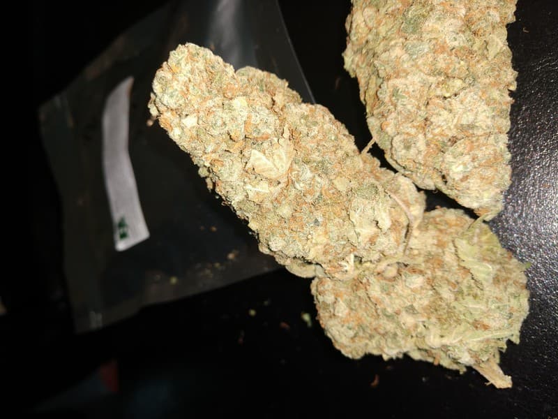 24K Gold cannabis strain, community photo 3