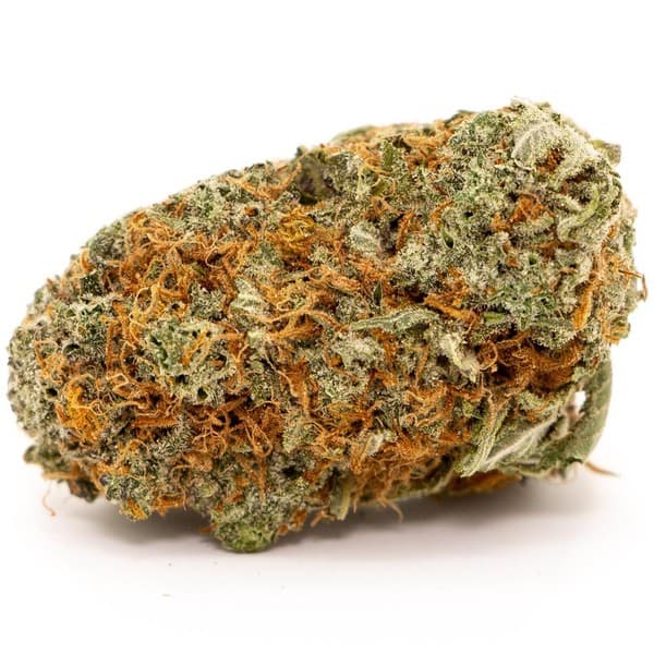 24K Gold cannabis strain, community photo 4
