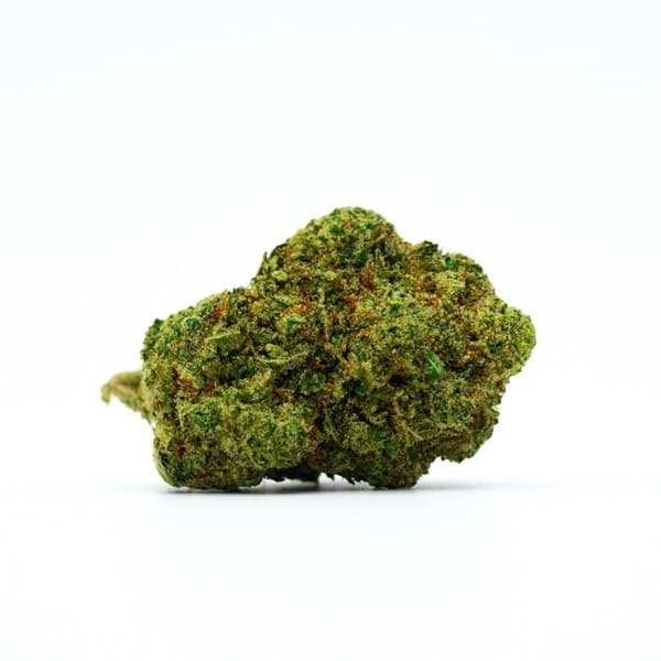 24K Gold cannabis strain, community photo 5