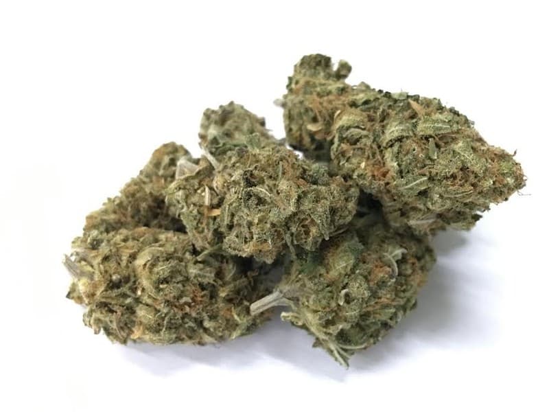 ACDC cannabis strain, community photo 1