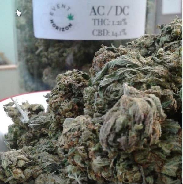 ACDC cannabis strain, community photo 3