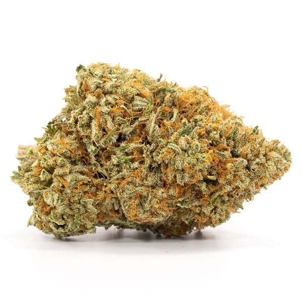 Afghan Kush cannabis strain, community photo 1