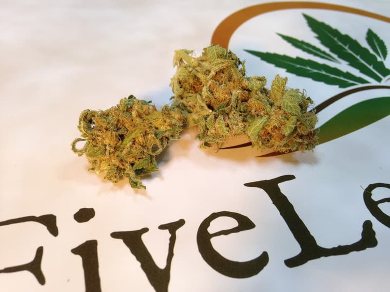Afghan Kush cannabis strain, community photo 3