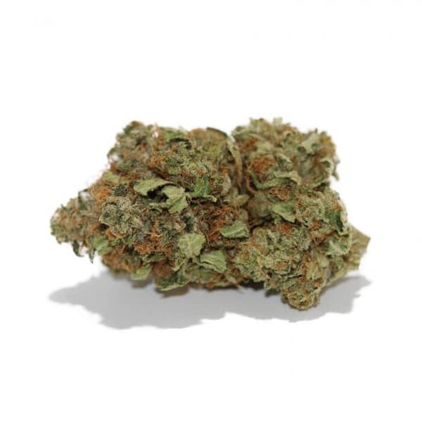 Afghan Kush cannabis strain, community photo 4