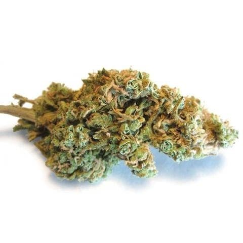 Afghani cannabis strain, community photo 1
