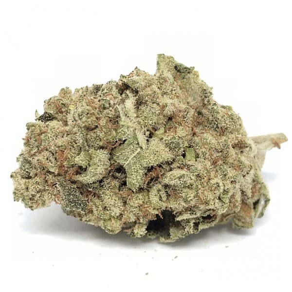 Afghani cannabis strain, community photo 2