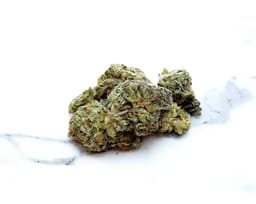 Afghani cannabis strain