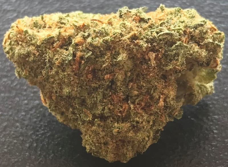 Afghani cannabis strain, community photo 6
