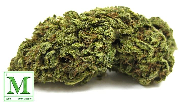 Afgoo cannabis strain, community photo 1