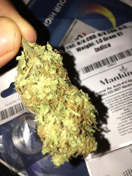 Afgoo cannabis strain, community photo 4