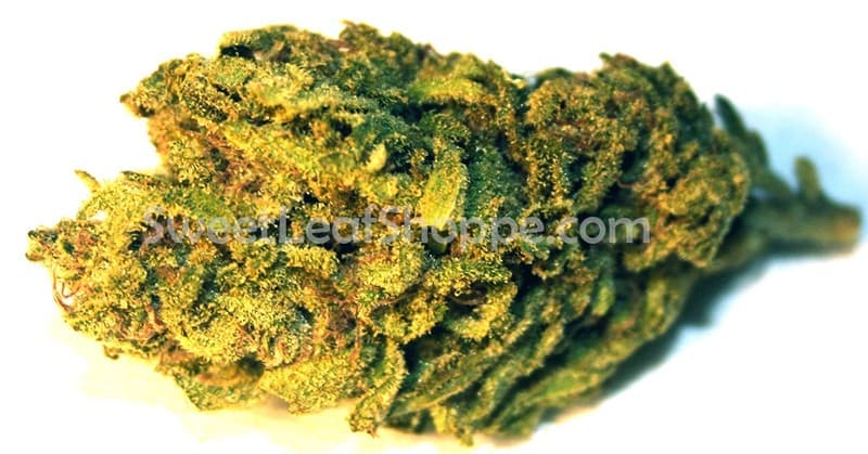 Afgooey cannabis strain, community photo 3