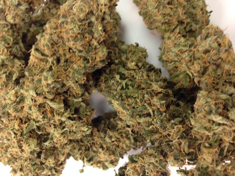 AK-47 cannabis strain, community photo 3