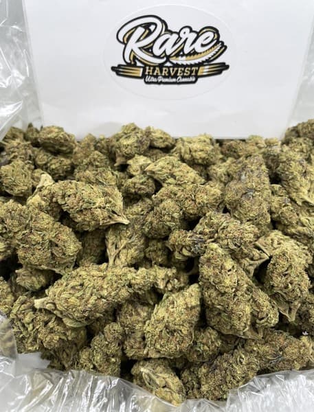 AK-47 cannabis strain, community photo 4