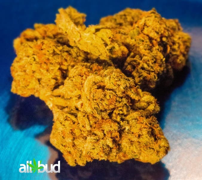 Alien Dawg cannabis strain, community photo 4