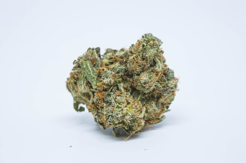 Alien Kush cannabis strain, community photo 1