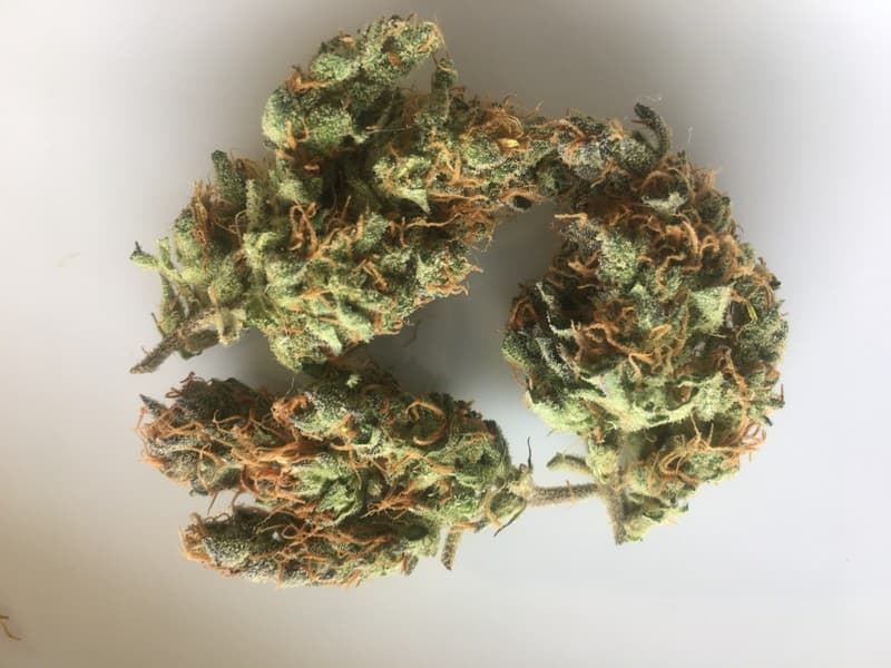 Alien OG cannabis strain, community photo 2