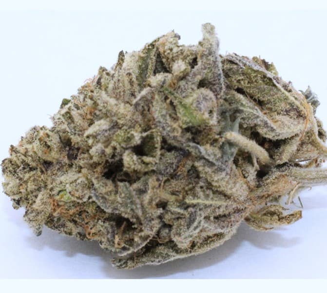Alien OG cannabis strain, community photo 3
