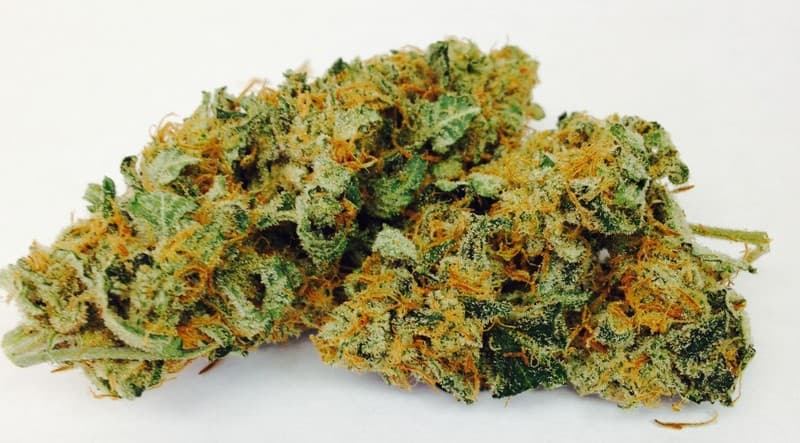 Alien OG cannabis strain, community photo 4