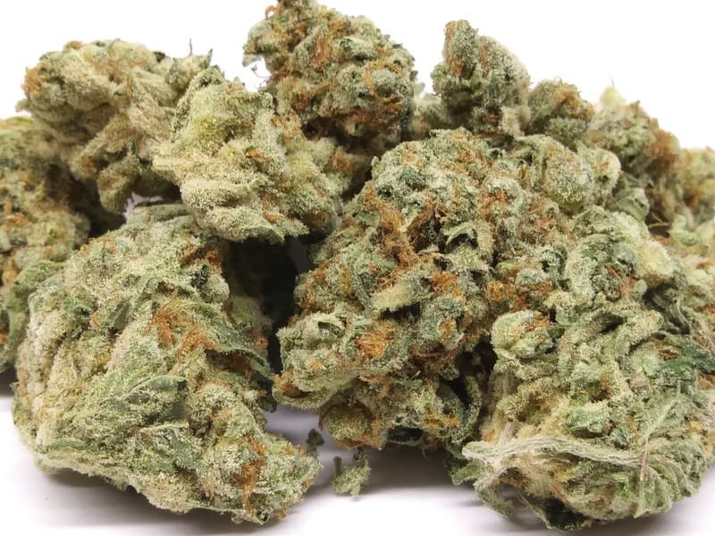 Alien OG cannabis strain, community photo 7