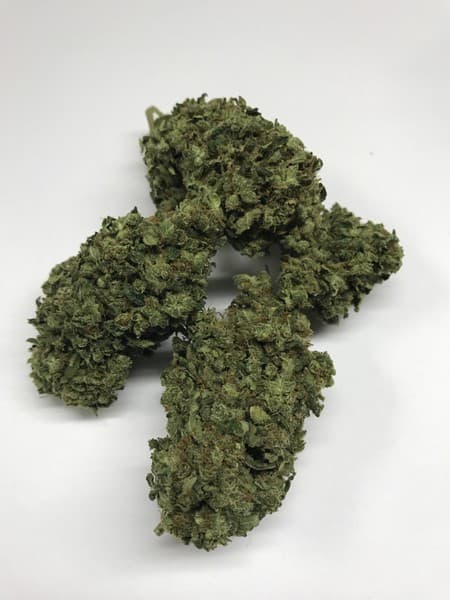 Ambrosia cannabis strain, community photo 1