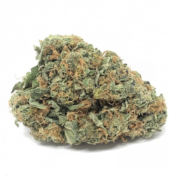 Amnesia cannabis strain, community photo 2
