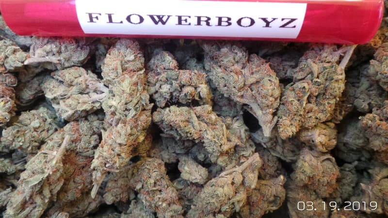 Amnesia cannabis strain, community photo 5