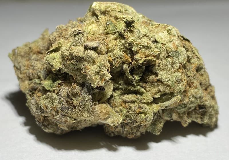 Animal Face cannabis strain, community photo 1