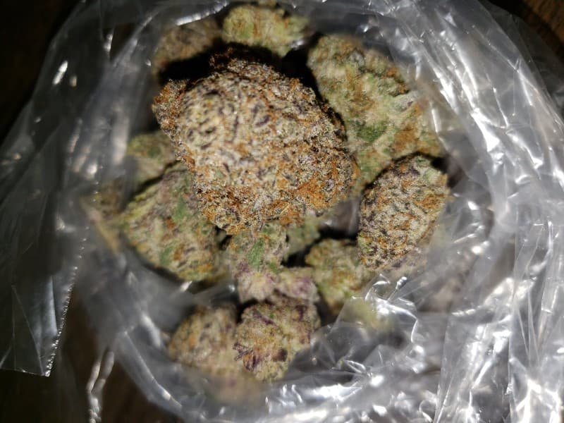 Animal Face cannabis strain, community photo 4