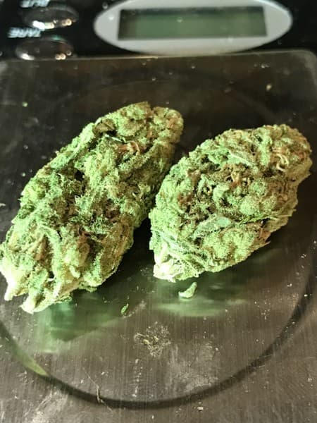 Appalachia cannabis strain, community photo 1