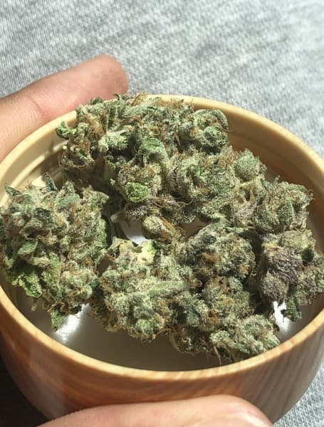 Apple Pie cannabis strain, community photo 2